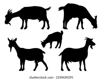 Set of Goats grazing. Picture silhouette. Farm pets. Animals for milk and dairy products. Isolated on white background. Vector