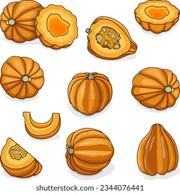 Set  of Gold acorn squash or Honey bear squash. Tuffy squash. Winter squash. Cucurbita pepo. Fruits and vegetables. Clipart. Isolated vector illustration.