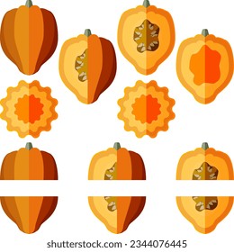 Set of Gold acorn squash or Honey bear squash. Tuffy squash. Winter squash. Cucurbita pepo. Fruits and vegetables. Flat style. Isolated vector illustration.