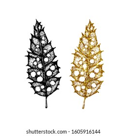 Set of gold and black bird feathers with a pattern. Hand vector illustration isolated on white background. For cover design, print, business card, icon, template, postcard.