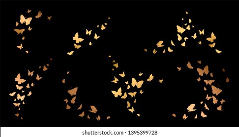 Set of gold butterflies, ink silhouettes. Glowworms, fireflies and butterflies icons isolated on white background. Hand drawn elements, Vector illustration.