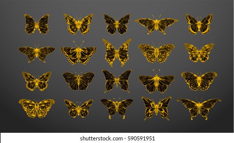 Set of gold butterflies, ink silhouettes. Glowworms, fireflies and butterflies icons isolated on white background. Hand drawn separated editable elements, Vector illustration.