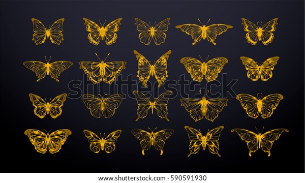 金色の蝶のセット インクシルエット 白い背景にグロワーム ホタル 蝶のアイコン 手描きの分離された編集可能なエレメント ベクターイラスト のベクター画像素材 ロイヤリティフリー
