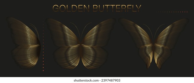 Set of gold butterflies on a black background. Composition from bright lines. Vector illustration.