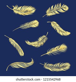 Set of gold feather vector