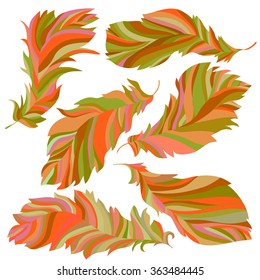 Set of gold feathers on a white background. Collection of gold feathers. Vector illustration.