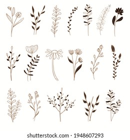Set of gold floral elements with hand drawn style illustration vector