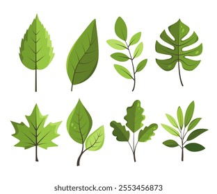 Set of gold green leaves isolated on white background. Lush foliage vector illustration in flat style for design, eco projects, decoration