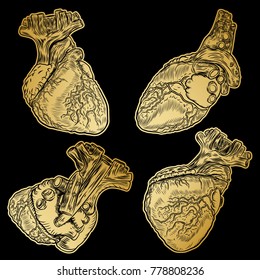 Set of gold human hearts in hand drawn style. Anatomical sketch concept in gold for flesh tattoo or print t-shirt, smart phone, poster. Fashionable patch heart sticker. Pop art sketch badge. Vector.