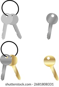 A set of gold and iron keys without a background