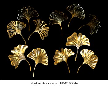 Set of gold, jewelry, shiny Ginkgo Biloba leaves on black background.