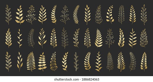 Set of gold laurels branches. Flower ornament dividers collection. Vintage laurel wreaths. Hand drawn vector laurel leaves decorative elements. Leaves, swirls, ornate, award, icon. Vector illustration
