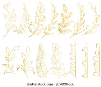 Conjunto de tracción botánica de hoja dorada aislada de ilustración vectorial. Hermosas ramas doradas con hojas para marcos y coronas. Decoración natural para invitaciones y decoración