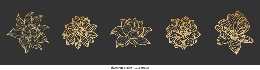 Set of gold lotus flower on a black background. Vector hand drawn illustration