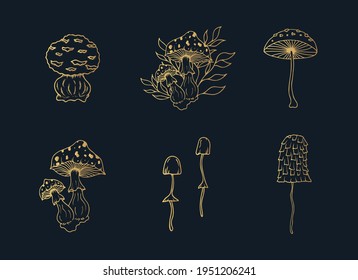 Set of gold mushrooms for witchcraft. Vector isolated illustration with golden fungies for poison.