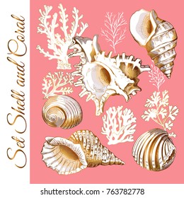 Set of a gold sea Shell and Coral. Vector illustration.