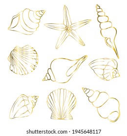 Set of gold shells, starfish on a white background. Vector, illustration