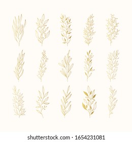 Set of golden branches and herbs. Decoration elegant floral elements for wedding. Vector isolated spring gold flourish borders.