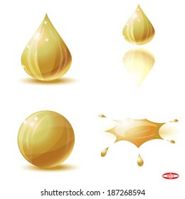 set golden elements isolated on white background vector