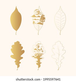 Set of golden elm and oak leaves silhouette, outline and mystical design. Celestial icons with mountain, clouds, moon and forest. Gold magical elements.