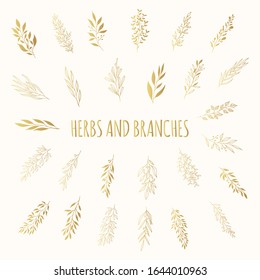Set of golden floral branches and herbs. Rustic elements for wedding. Vector isolated spring gold flourish borders.