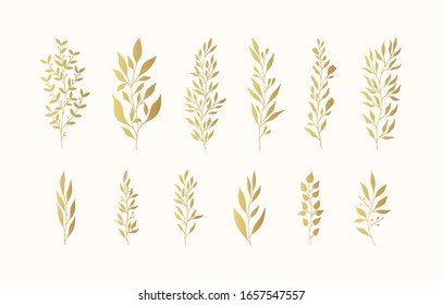 Conjunto de ramas doradas y siluetas de hierbas. Elegantes elementos botánicos para la boda. Vector aislado de oro de primavera florecen fronteras.