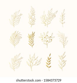 Conjunto de ramas doradas de diseño floral. Elementos decorativos de oro para invitación, tarjetas de boda, Navidad, tarjetas de felicitación. Vector aislado.