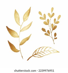 Set of golden floral elements. Gold leaves. Wedding concept - flowers.