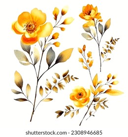 Set of golden floral watecolor. golden flower, golden leaves. Floral poster, invitation floral. Vector arrangements for greeting card or invitation design