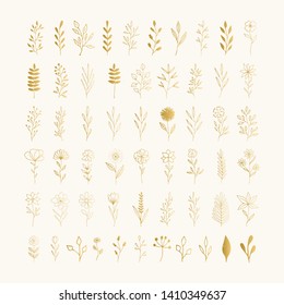 Set of golden flowers and herbs. Ink drawn vector illustration. Vector isolated.