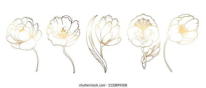 Set, golden flowers isolated on white background. Hand drawn golden flower. Vector illustration. For greeting cards and wedding invitations, birthday, Valentine s Day, Mother s Day and others.