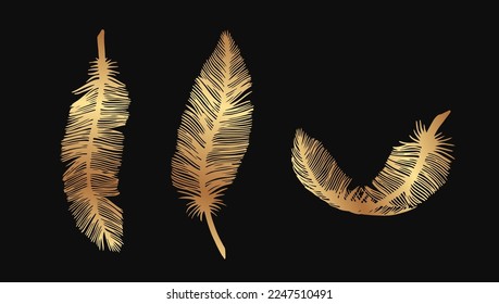 Set of golden hand-drawn feathers. 