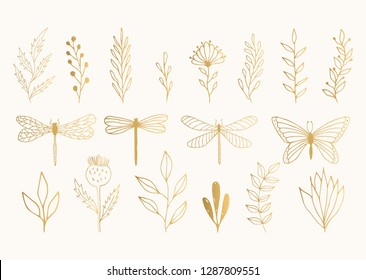 Set of golden herbs, dragonflies and butterfly. Vector summer illustration. Isolated. Hand drawn ink texture.