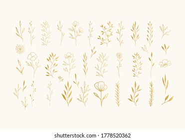 Set of golden herbs, leaves, flowers with stems, branches. Vector hand drawn illustration.