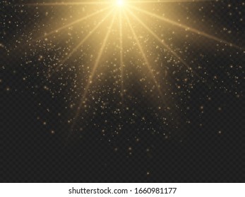 Set of golden light effects. Flashes and glares. Bright rays of light. Glowing lines. Vector illustration. Christmas flash. dust.