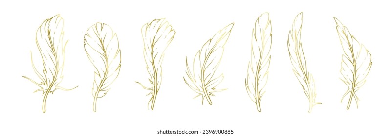 Set of golden linear bird feathers.Vector graphics.