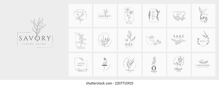 Set mit goldenem Logo mit Kräutern und Gewürzen. Botanischer Blumenrahmen. Handgezeichnete Hochzeitskraut, Heimpflanze mit eleganten Blättern. Botanische rustikale, trendige Vegetation, Vektorgrafik