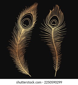 Set of golden peacock feathers sketches.