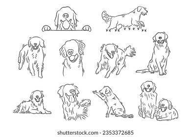 Set of golden retriever dogs hand drawn line art. Outline sketch doodle cartoon of dog labrador vector illustration