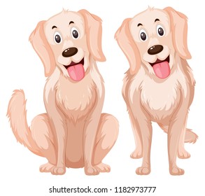 A set of golden retriever illustration