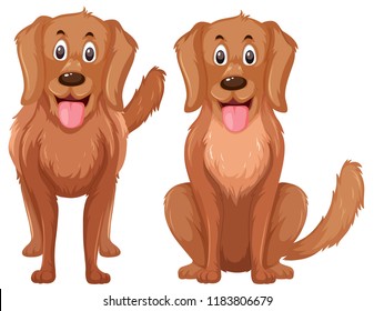 A set of golden retriever illustration