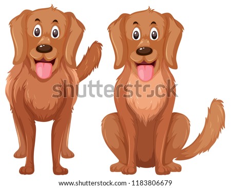 Similar – Image, Stock Photo cute golden retriever dog at home holding a blueberry on his snout. adorable obedient pet. Home, indoors and lifestyle