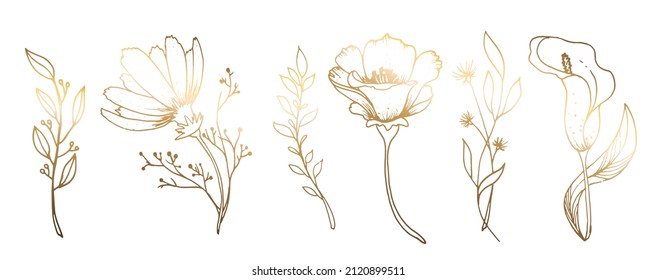 Set, golden rose flowers, chamomile, poppy, calla, isolated on white background. Hand drawn golden flower. For greeting cards and wedding invitations, birthday, Valentine s Day