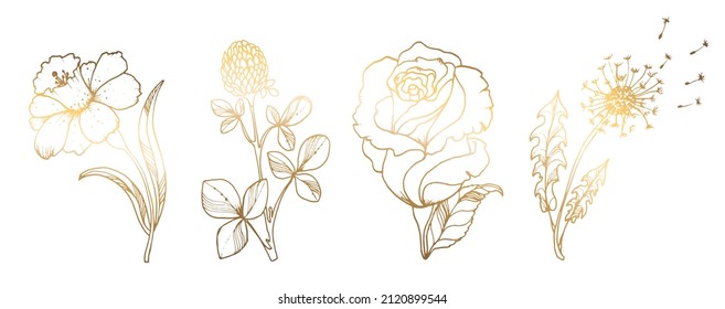 Flores rosa doradas aisladas en un fondo blanco. Flor dorada dibujada a mano. Ilustración vectorial. Para tarjetas de felicitación e invitaciones de boda, cumpleaños, San Valentín, Día de la Madre y otros.