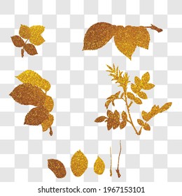 Set golden rose leaves ornament wit isolated