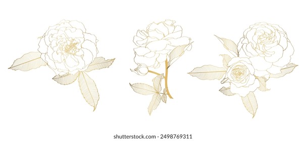 Set with golden roses flowers bouquet and leves isolated on white background. 