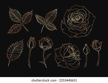 Set of golden roses sketches.