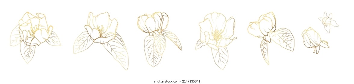 Set of golden sakura cherry quince line flowers. Design of realistic, voluminous, metal, gold, jewelry, isolated flowers of Japanese cherry on white background.