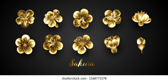 Set of golden sakura flowers. Design of realistic, voluminous, metal, gold, jewelry, isolated flowers of Japanese cherry on black background.