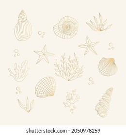 Conchas doradas, estrellas de mar, algas, coral. Ilustración aislada del vector.
